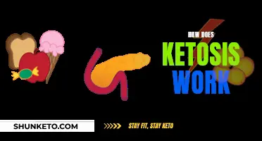 Ketosis: Understanding the Science Behind This Dieting Method