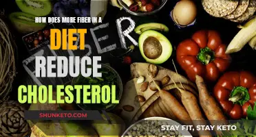 Fiber's Magic Touch: Unlocking Cholesterol Reduction Secrets