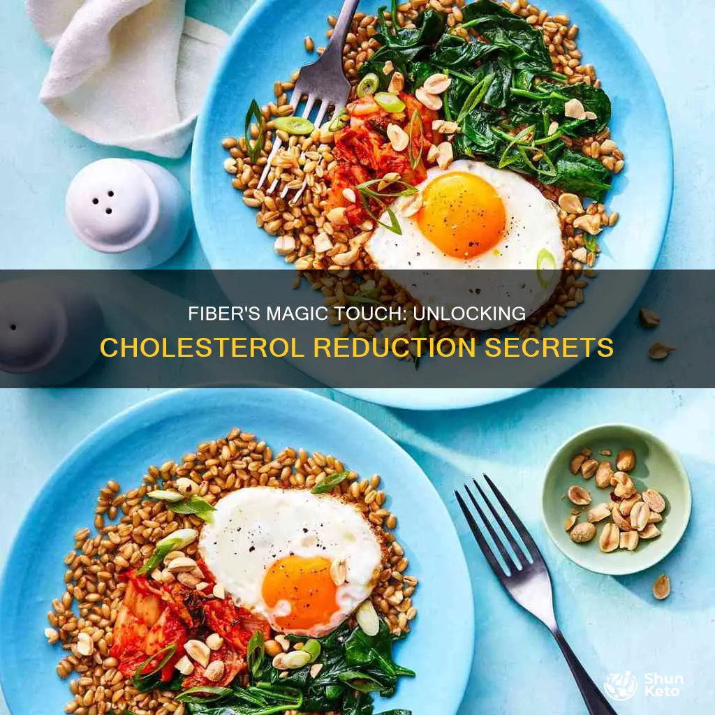 how does more fiber in a diet reduce cholesterol