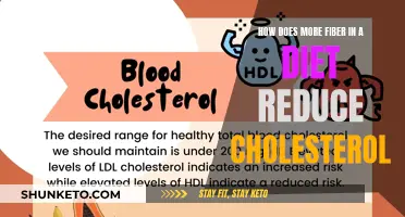 Fiber-Rich Diets: Lowering Cholesterol, Improving Health