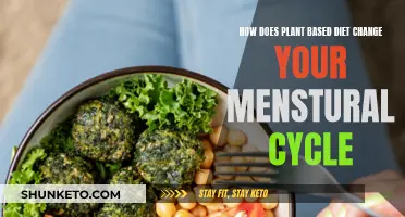 Plant-Based Diets: Menstrual Cycle's Best Friend?