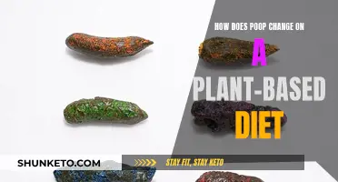 Plant-Based Diets: What Happens to Your Poop?