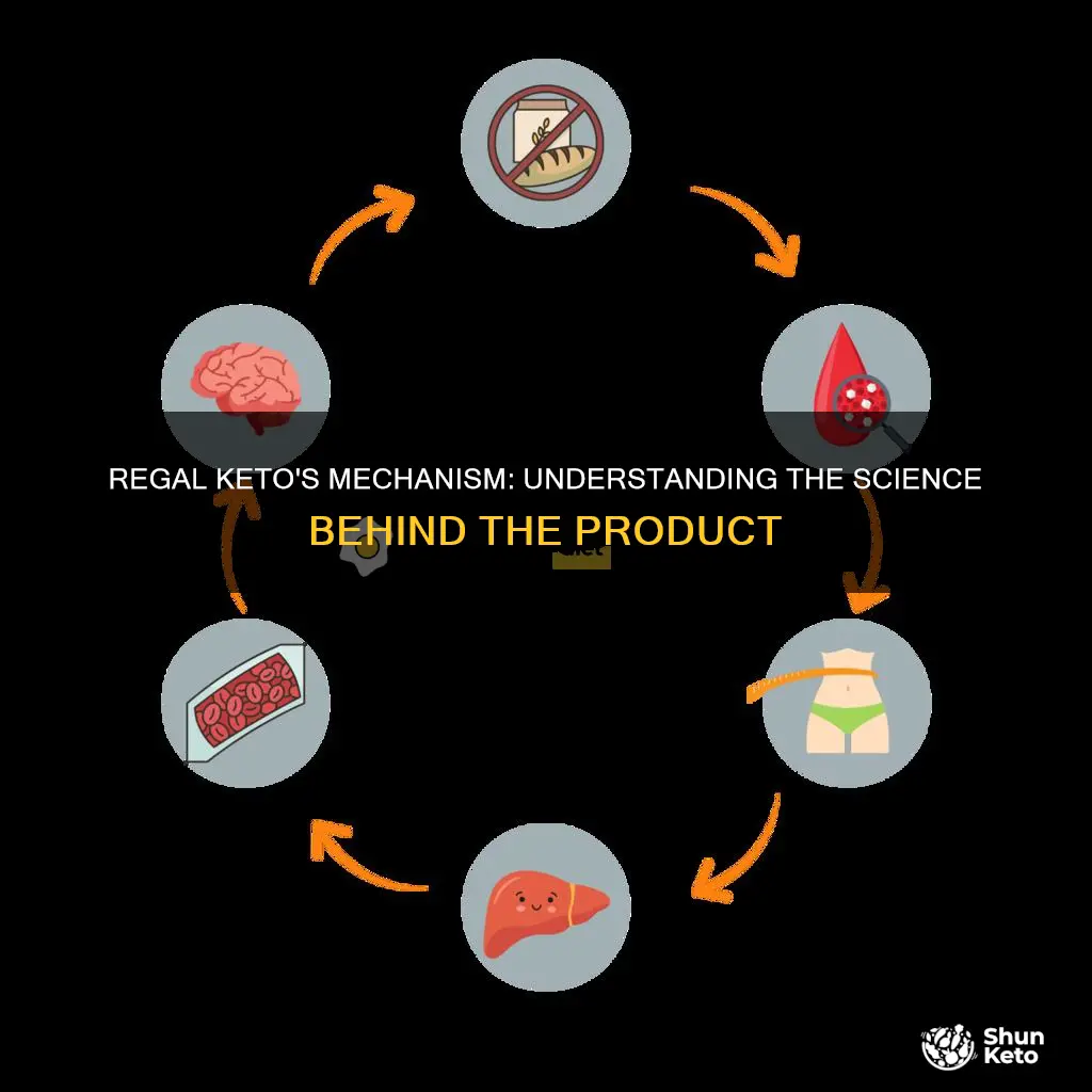 how does regal keto work