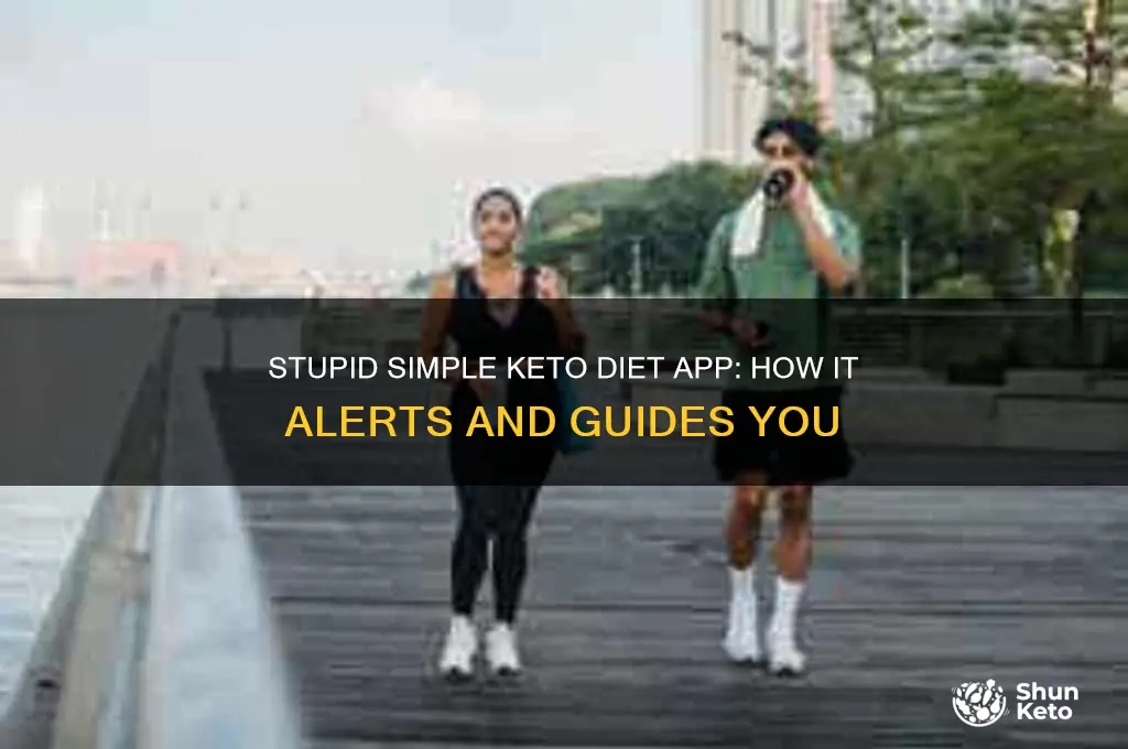 how does stupid simple keto diet app warn me