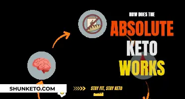 Absolute Keto: How Does This Diet Work?