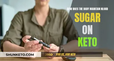 Maintaining Blood Sugar on Keto: Body's Response Explained