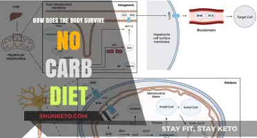 Surviving No-Carb: The Body's Response