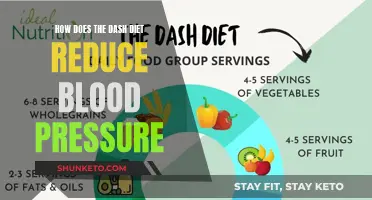 Dash Diet: Unlocking the Secrets to Lowering Blood Pressure Naturally