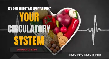 Healthy Circulation: Impact of Diet and Lifestyle Choices