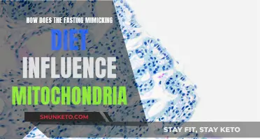 Fasting Mimicking Diet: Mitochondrial Health and Longevity