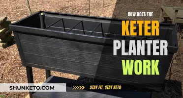 Keter Planter: How Does It Work and What's Special?