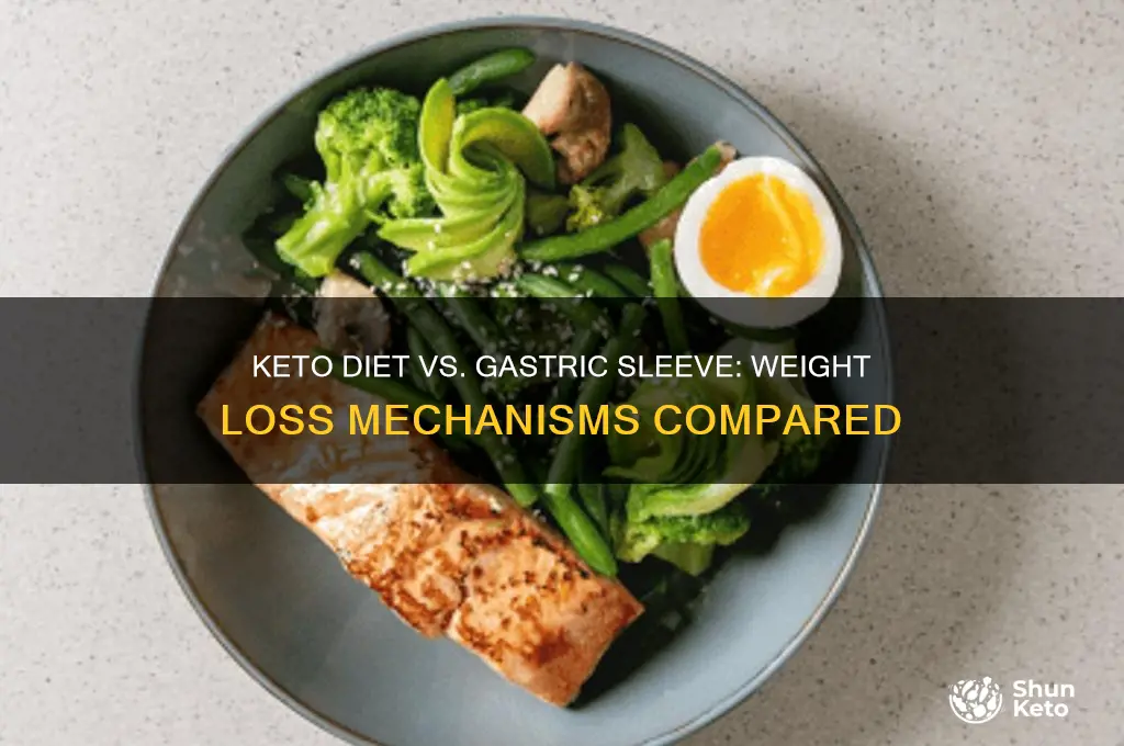 how does the keto diet act as gastric sleeve