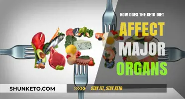 Keto Diet Impact: How It Affects Major Organs and Health