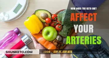 Keto Diet and Arterial Health: Benefits, Risks, and Long-Term Effects