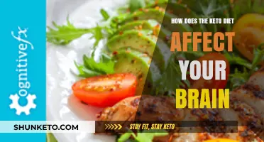 Keto Diet's Impact on Brain Function and Cognitive Health Explained