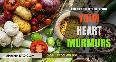 Keto Diet and Heart Murmurs: Potential Impacts and Considerations