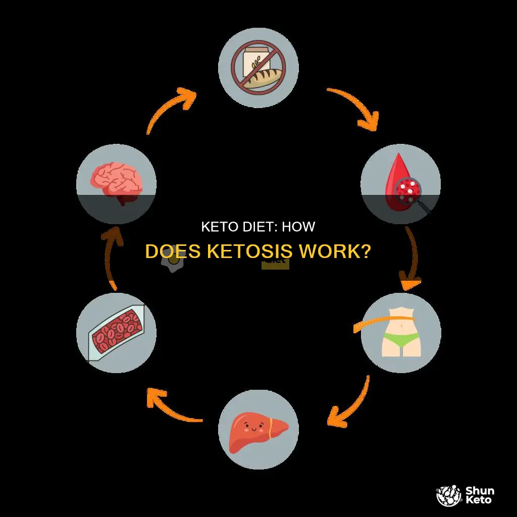 how does the keto fiest work