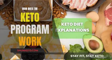 Keto Program: How Does This Diet Work?