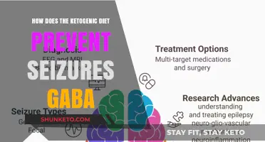 Ketogenic Diet's Seizure-Reducing Superpowers Explained