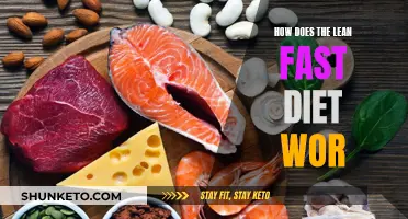 The Fast Lean Diet: How Does It Work?