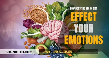 Vegan Diet: Emotional Impact and Your Mental Health