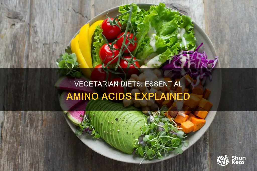 how does the vegetarian diet relate to essential amino acids