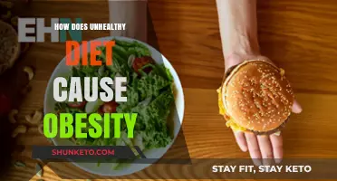 Unhealthy Diets: A Recipe for Obesity
