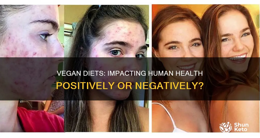 how does veganism diet effect the human body