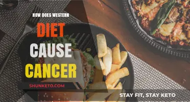 Western Diet and Cancer: What's the Link?
