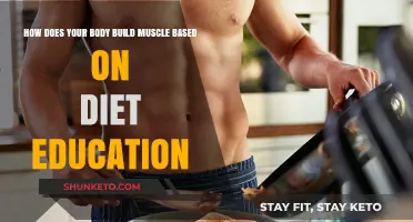 Building Muscle: Diet and Education Fundamentals