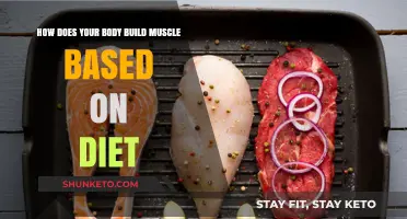 Building Muscle: The Role of Diet