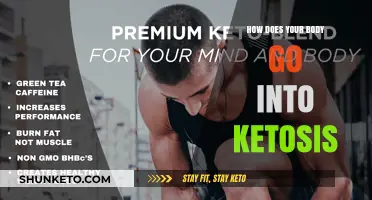 Understanding Ketosis: How Your Body Burns Fat for Energy