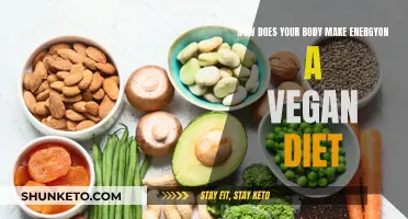 Vegan Energy Sources: How Does Your Body Adapt?