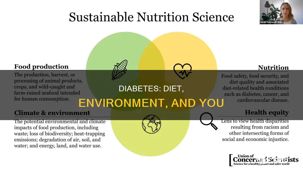 how does your diet and environment relate to diabetes