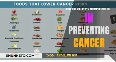 Diet's Role in Cancer Prevention