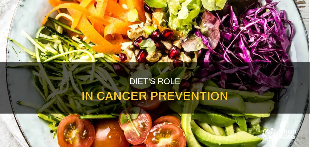 how dos diet plays an important role in preventing cancer