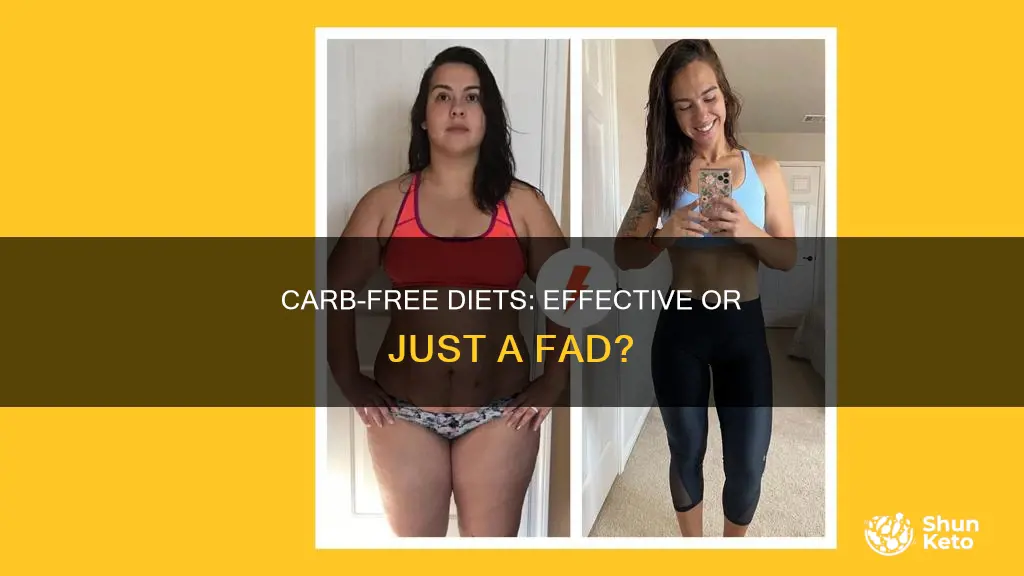 how effective is a no carb diet