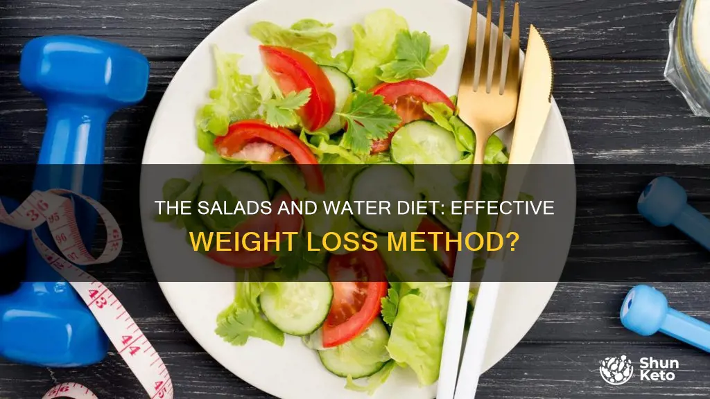 how effective is a salas and water diet