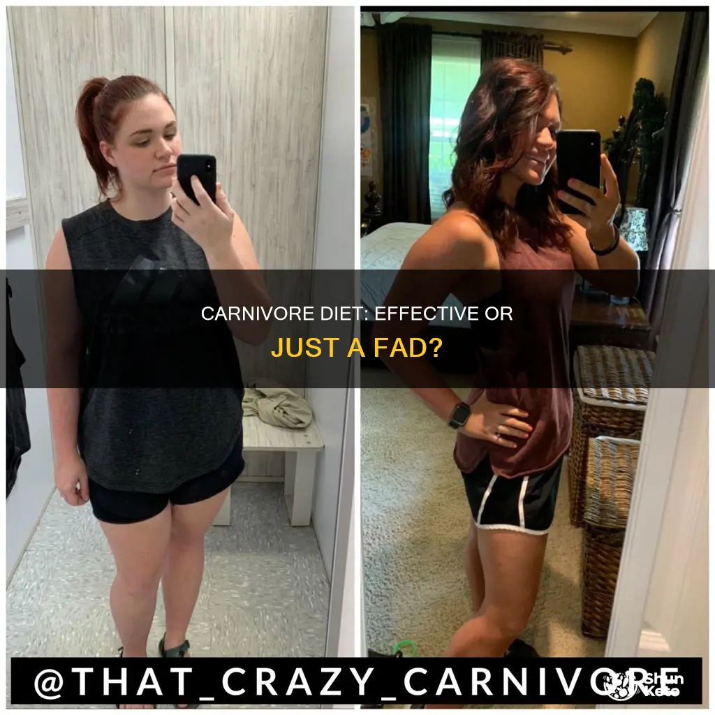 how effective is the carnivore diet