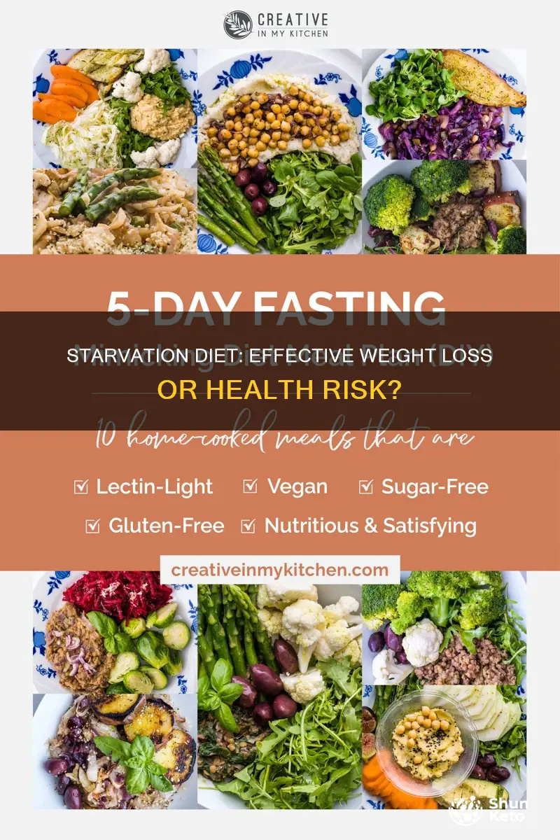 how effective is the starvation diet