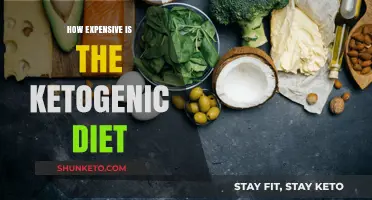 Costly Ketogenic Diet: Is It Worth the Price?