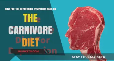 Carnivore Diet: Fast Relief from Depression Symptoms?