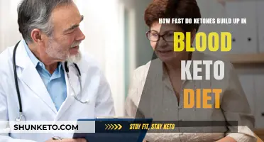 Ketone Buildup Speed: Understanding Blood Levels on a Keto Diet