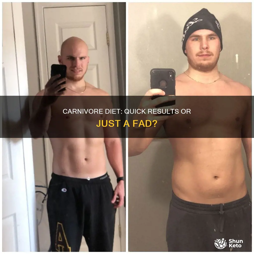 how fast do you see results carnivore diet