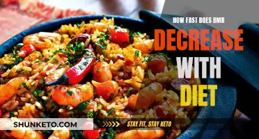 Metabolism and Dieting: BMR Decrease Explained