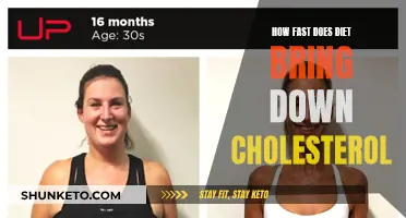 Cholesterol and Diets: How Quickly Can You Expect Results?