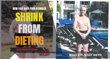 Stomach Shrinking: Fast Dieting Results and Health Risks