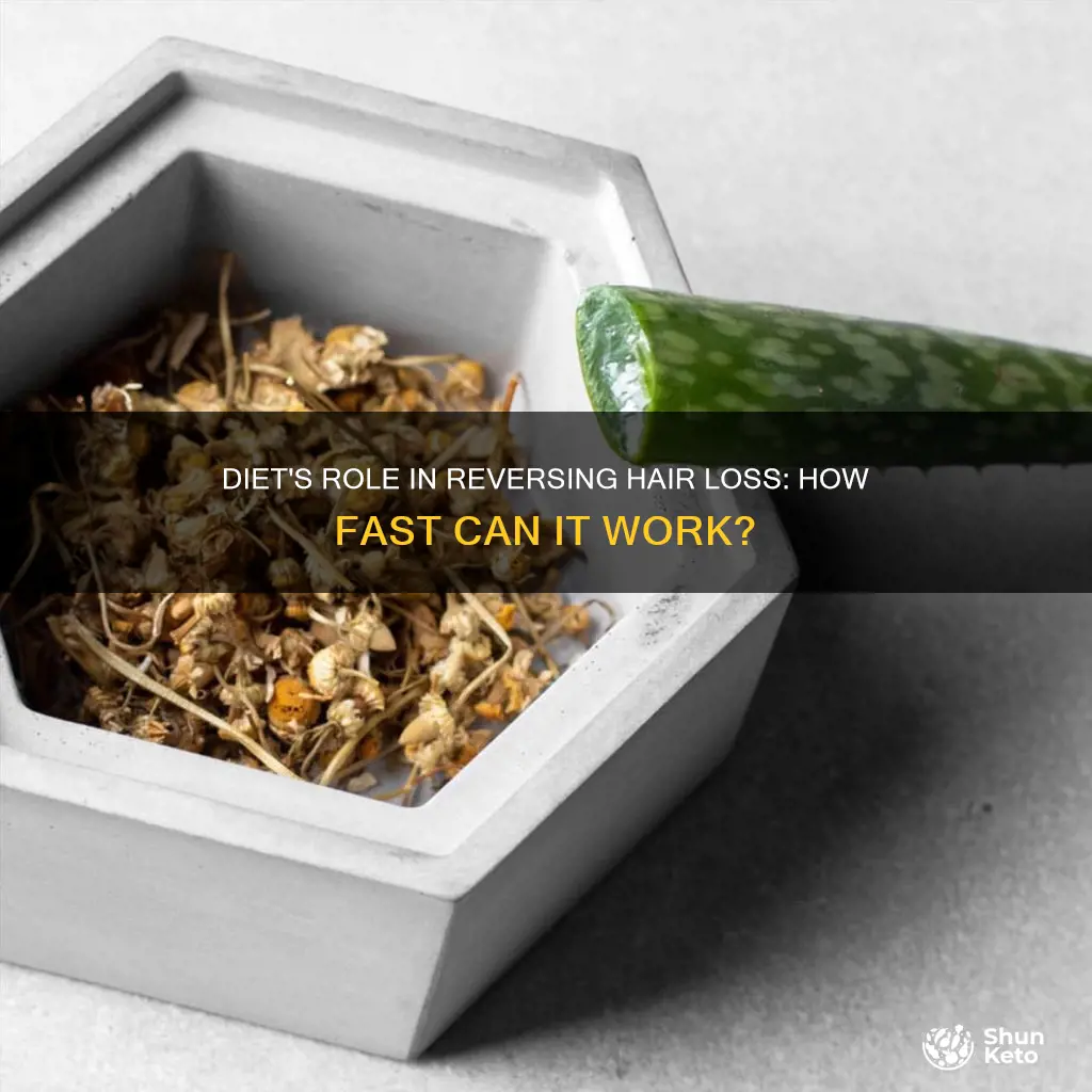 how fast is hair loss reversal with proper diet