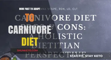 Adapting to the Carnivore Diet: A Quick Guide