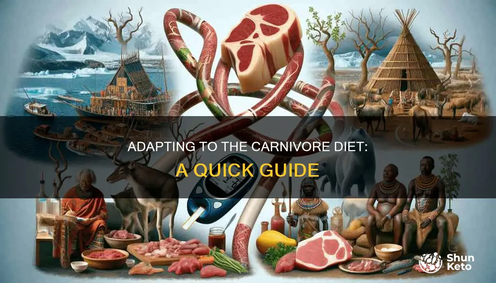how fast to adapt to carnivore diet